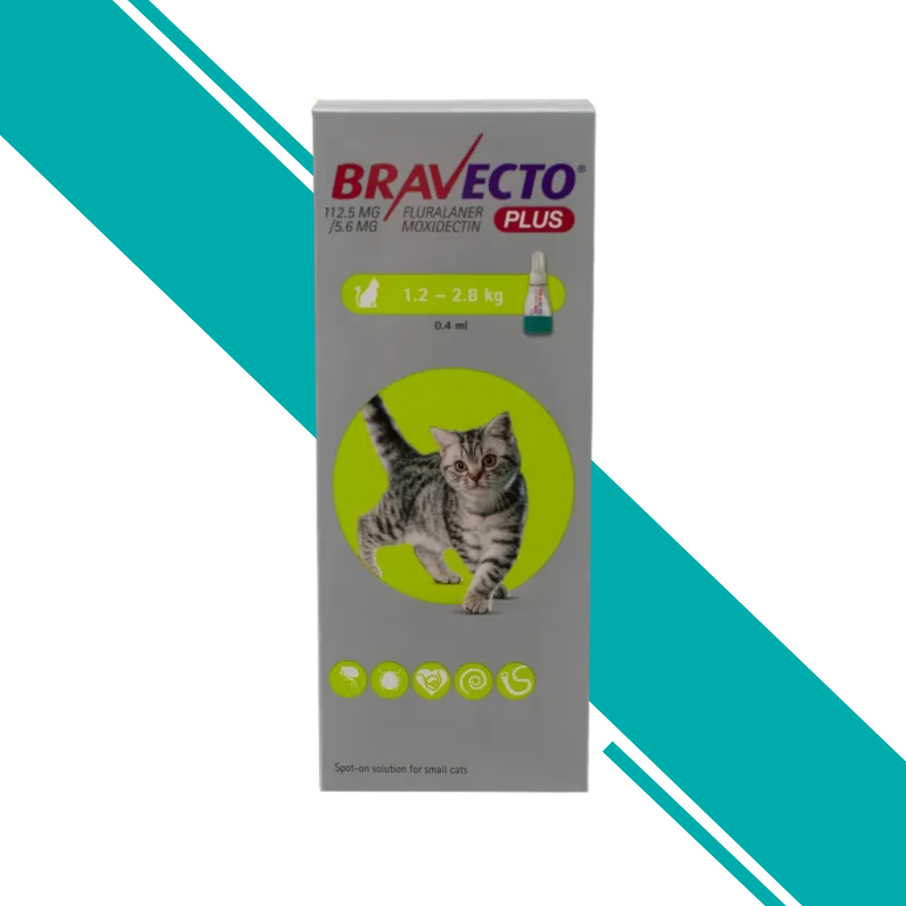 Bravecto PLUS Spot-On Solution for Cats